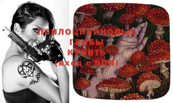 каннабис Алзамай