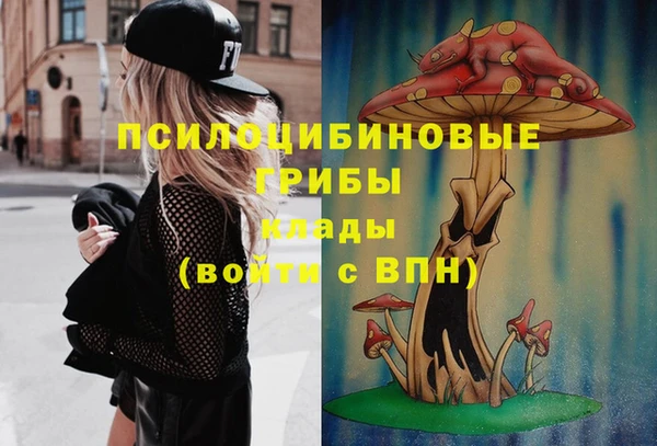 марки lsd Переславль-Залесский