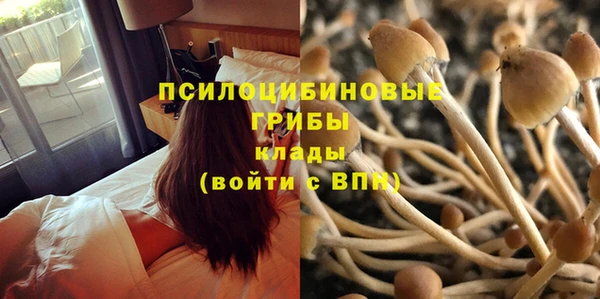 кокаин колумбия Алексин