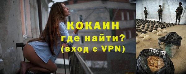 дживик Абинск