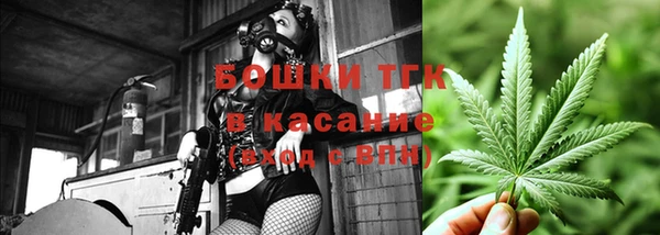 меф Пересвет