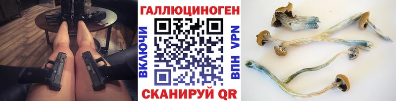 Галлюциногенные грибы Cubensis  Пучеж 